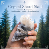 Cráneo de fragmento de cristal