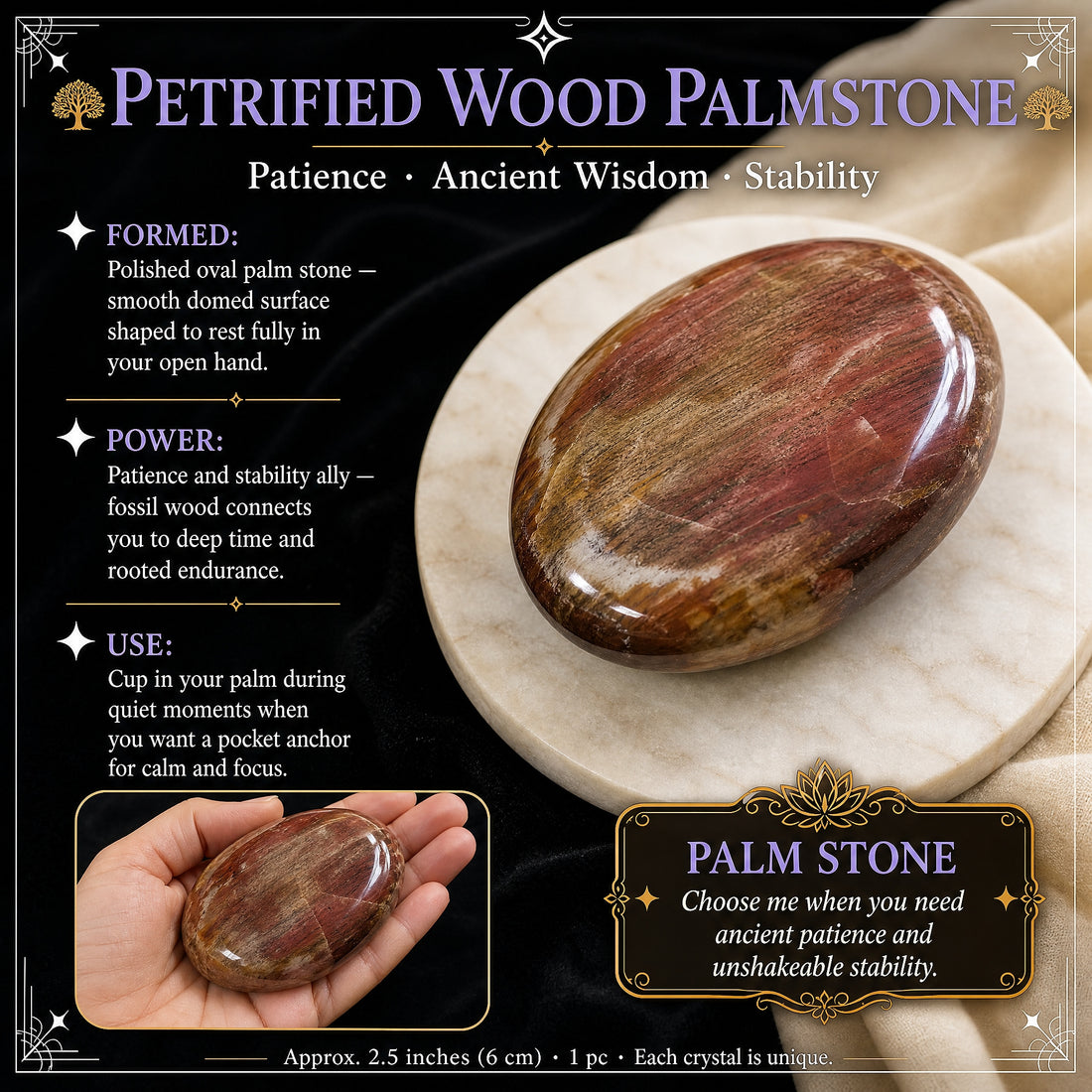 Petrified wood palmstone guide card, with an inset photo of the palmstone resting in an open hand