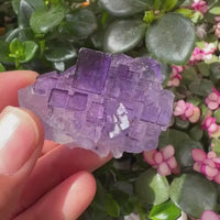 Grande (1.19 lbs.) Purple Flash Labradorite Freeform (Artículo n.º 0077)