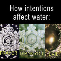 Amethyst Fairy Amethyst Gem Pod Water Bottle 💧 PROMO SALE