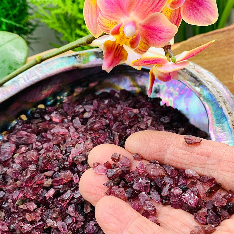 Fingertips holding a few small rough red garnet chips above an abalone shell full of more garnet