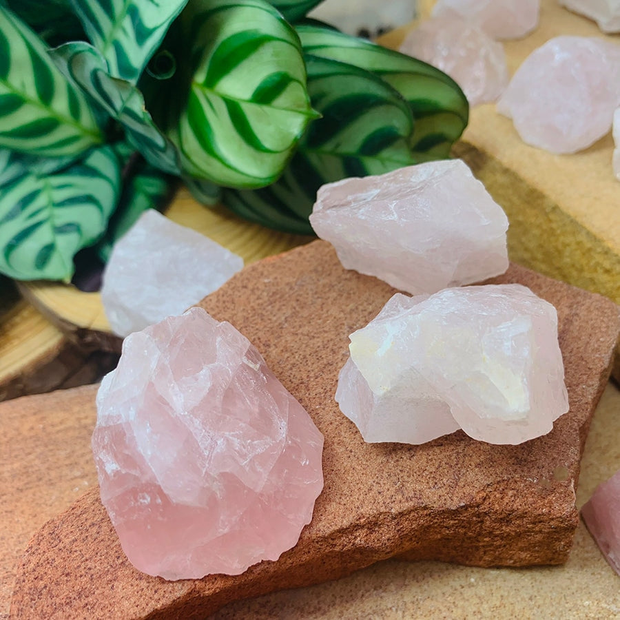 Rough rose quartz pieces ranging from pale blush to deeper pink on red sandstone beside a striped-leaf plant