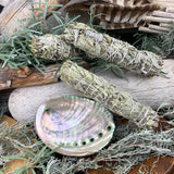 Räucherset: Weißer Salbei (6 Zoll) + Abalone-Muschel