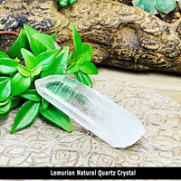 Starseed Crystal Altar Kit (7-Piece Set)