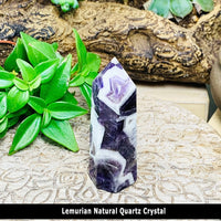 Starseed Crystal Altar Kit (7-Piece Set)