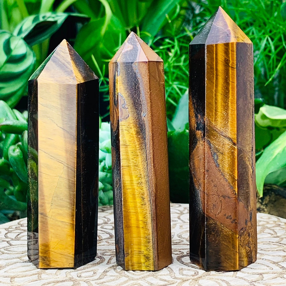 Three polished tiger's eye points with golden and brown bands, standing in front of green leaves