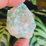 Amazonite Pierre Naturelle Brute