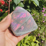 ETSY NE PAS mettre en SM. Grande forme libre de labradorite flash violette (article n ° 0083)