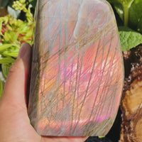 Μεγάλο (2,42 λίβρες) Μωβ Flash Labradorite Freeform (Είδος #1015)